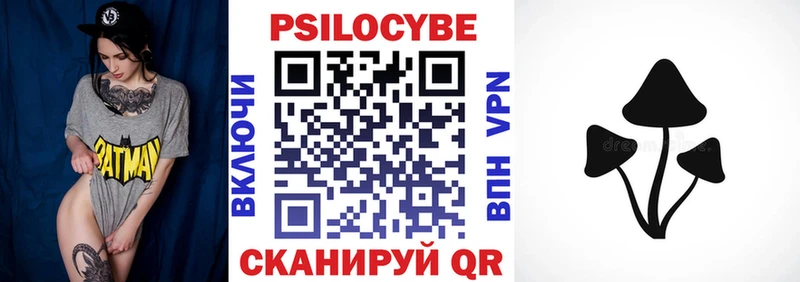 KRAKEN ТОР  Любань  Галлюциногенные грибы Psilocybe 